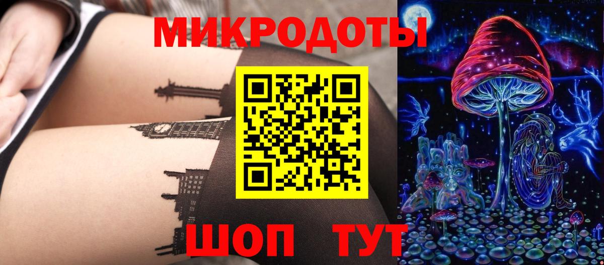 Черняховск  Псилоцибиновые грибы Psilocybine cubensis  Вход с VPN 