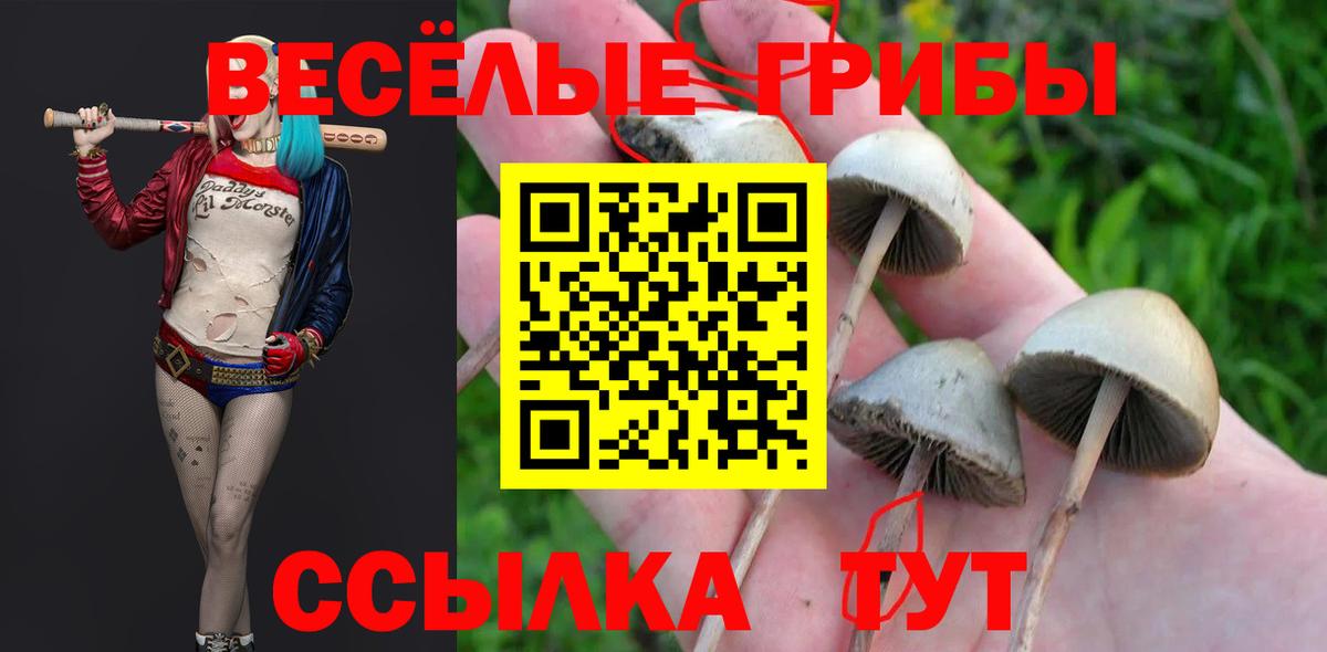 Псилоцибиновые грибы ЛСД Черняховск